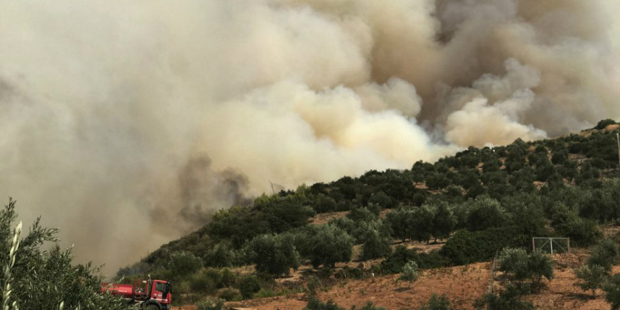 Σε ύφεση η πυρκαγιά στην Ηλεία - Πολύωρες μάχες με τις φλόγες - ΦΩΤΟΓΡΑΦΙΕΣ