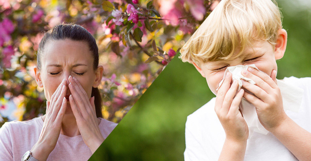 Αλλεργική Ρινίτιδα: Αίτια, Συμπτώματα και Θεραπεία