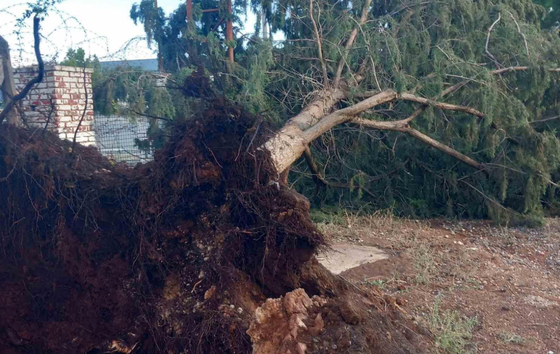 Σε εγρήγορση οι αρμόδιοι μετά την κακοκαιρία - «Το κράτος θα σταθεί αρωγός για αντιμετώπιση των προβλημάτων», είπε ο ΠτΔ