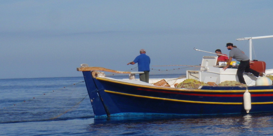 Σταυροκοπιούνταν οι ψαράδες- Αντί συναγρίδες βρήκαν αγριογούρουνα- ΦΩΤΟΓΡΑΦΙΑ-VIDEO