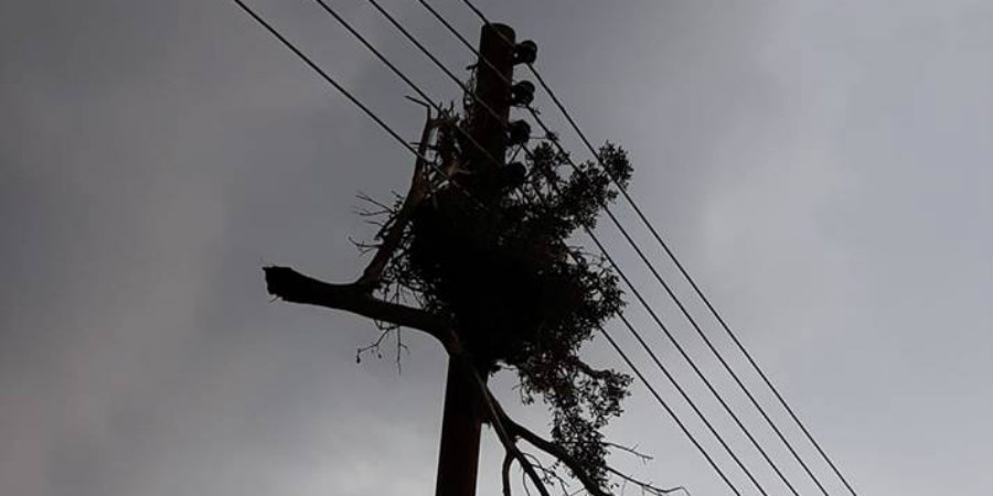 ΕΠ. ΛΑΡΝΑΚΑΣ: Κλαδιά βρέθηκαν πάνω σε σύρματα ηλεκτρικής - ΦΩΤΟΓΡΑΦΙΑ