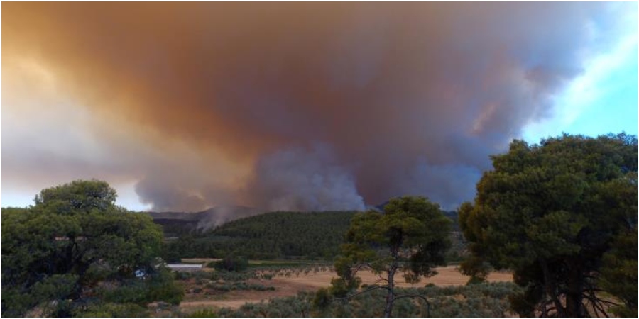 Κενεβέζος για φωτιές στην Ελλάδα : «Ο Θεός να δίνει δύναμη σε όλα και όλους»