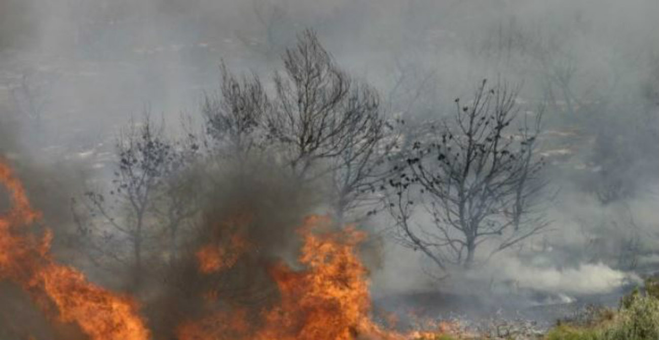 Φωτιά στα Τέμπη: Κινητοποιήθηκαν επίγειες και εναέριες δυνάμεις - Φέρεται να ξεκίνησε από τροχόσπιτο
