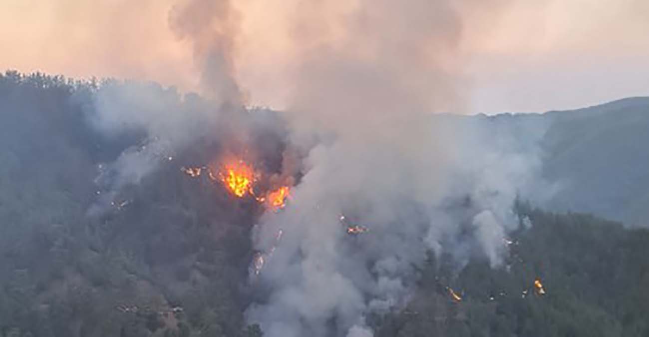 Περιορίστηκε η φωτιά στο Δάσος Πάφου, αποφεύχθηκαν οι αναζωπυρώσεις - Υπολογίζουν σήμερα την καμένη έκταση