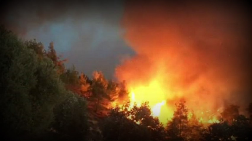 ΠΑΦΟΣ: Εκτός ελέγχου μεγάλη πυρκαγιά- 11 πυροσβεστικά οχήματα στην «μάχη»- Πνέουν ισχυροί άνεμοι