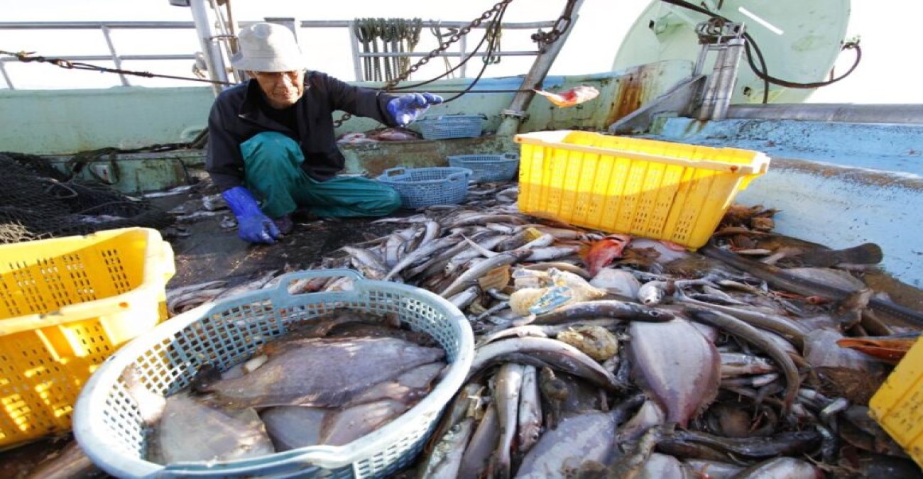 Ιαπωνία – Κίνα: Η κυβέρνηση θα στηρίξει οικονομικά τον αλιευτικό τομέα που επλήγη από την απόρριψη υδάτων από τη Φουκουσίμα