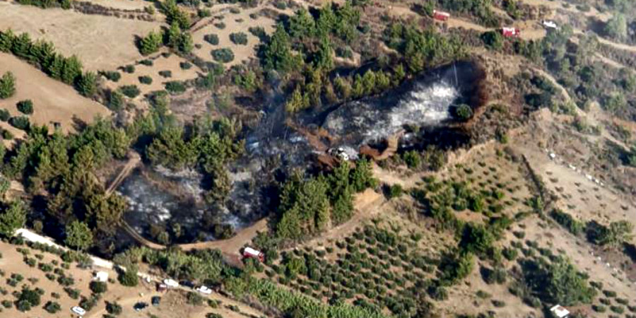 Υπό πλήρη έλεγχο δασικές πυρκαγιές από πτώση κεραυνών εντός του Κρατικού Δάσους Πάφου 