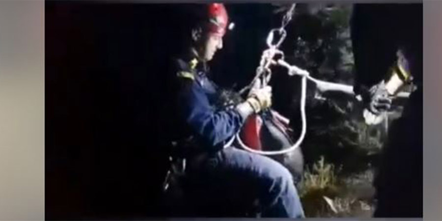 ΚΥΠΡΟΣ: Συγκινητικό βίντεο με πυροσβέστες που διασώζουν σκύλο - Έπεσε σε χαράδρα βάθους 25 μέτρων - VIDEO