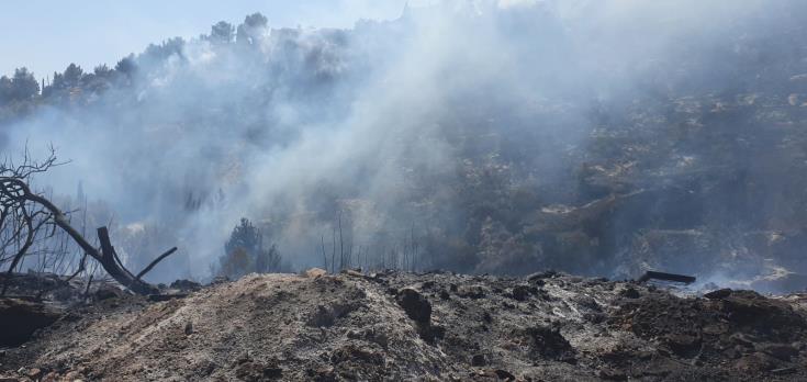 Δηλώσεις για ζημιές που προκάλεσε η πυρκαγιά σε Κοίλη και Τάλα στις 26 Ιουνίου 2021, θα δέχεται το Τμήμα Γεωργίας