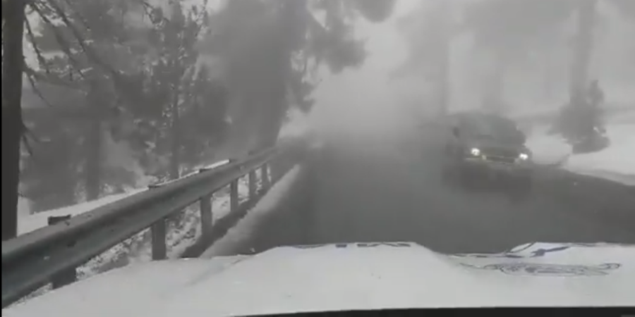 ΚΥΠΡΟΣ: Οδηγοί προσοχή - Πυκνή ομίχλη στο Τρόοδος -VIDEO