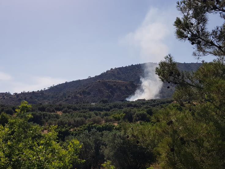 ΕΠ. ΛΕΜΕΣΟΥ: Κεραυνός προκάλεσε πυρκαγιά - Κινητοποίηθηκαν οι δυνάμεις πυρόσβεσης