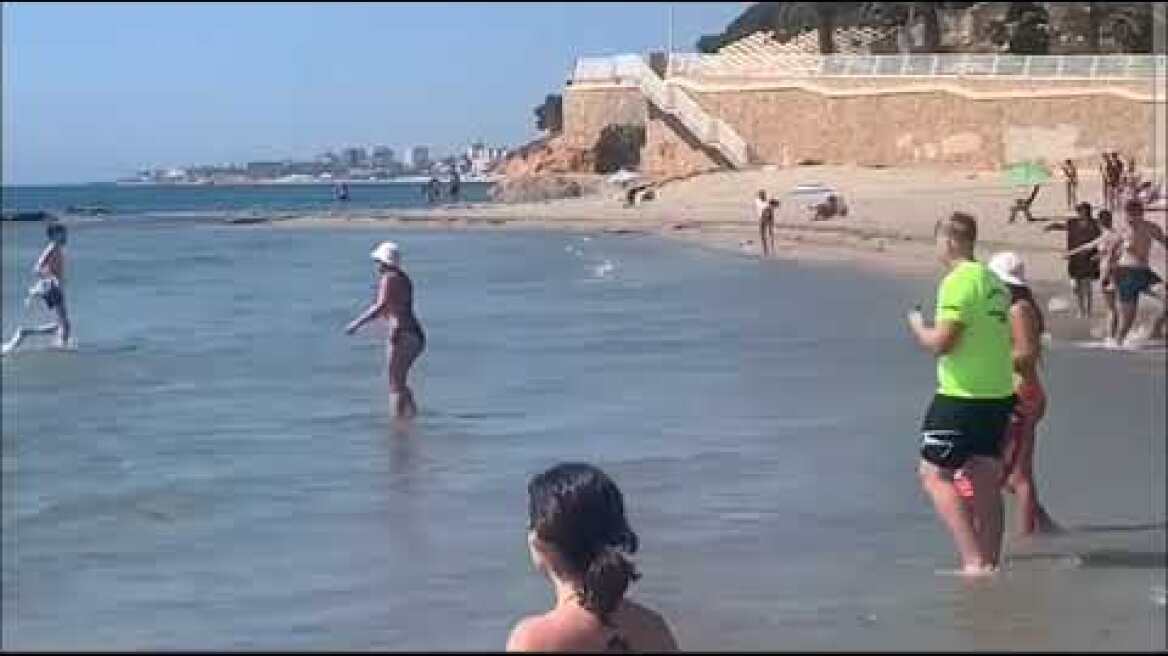 Πανικός σε παραλία της Ισπανίας: Καρχαρίας εμφανίστηκε στα ρηχά νερά - Δείτε βίντεο 