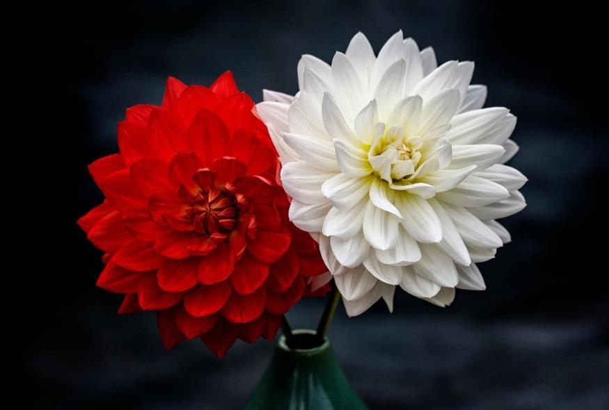 Εορτολόγιο: Το σπάνιο όνομα που γιορτάζει σήμερα Παρασκευή 3 Απριλίου 