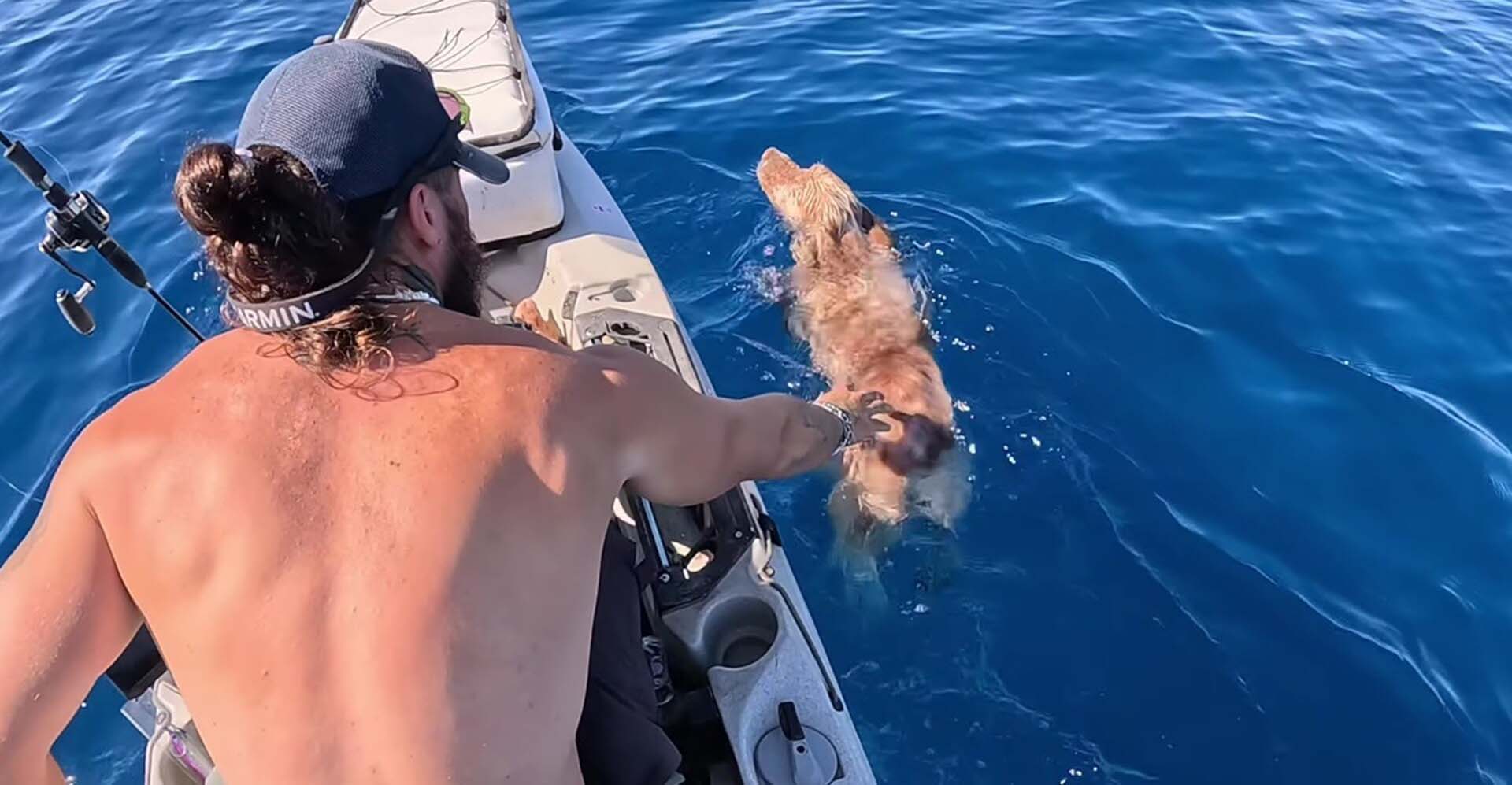 Απίστευτο και όμως αληθινό - Ψάρεψε... σκύλο από τη θάλασσα στην Ελλάδα - Δείτε βίντεο 