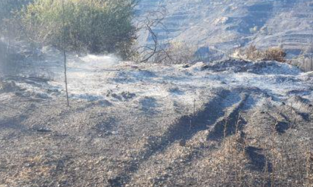 Φωτιά στην Πάφο: Περιορίζεται η αναζωπύρωση στην περιοχή Σίμου 
