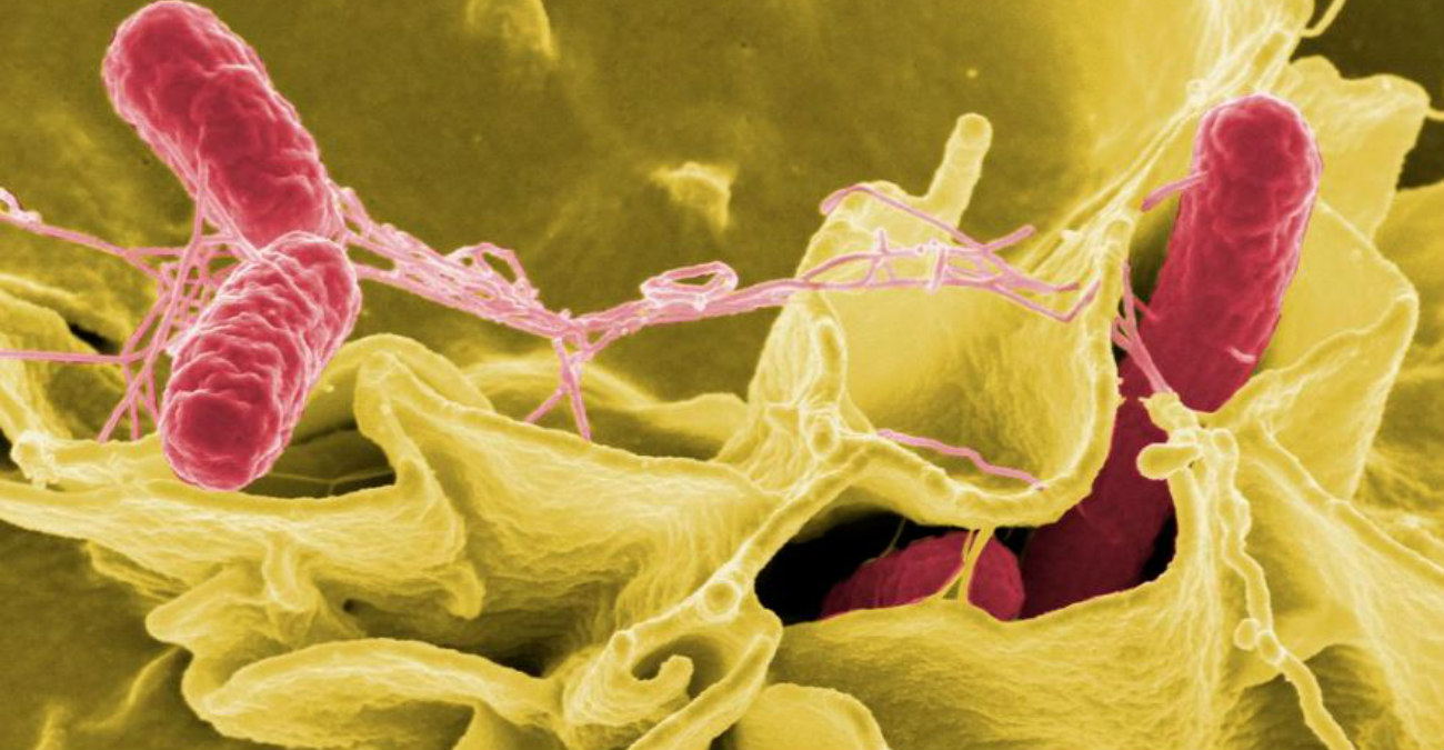 Φυματίωση και άλλα 5 ανθεκτικά μικρόβια μπαίνουν στην κρίσιμη λίστα του ΠΟΥ