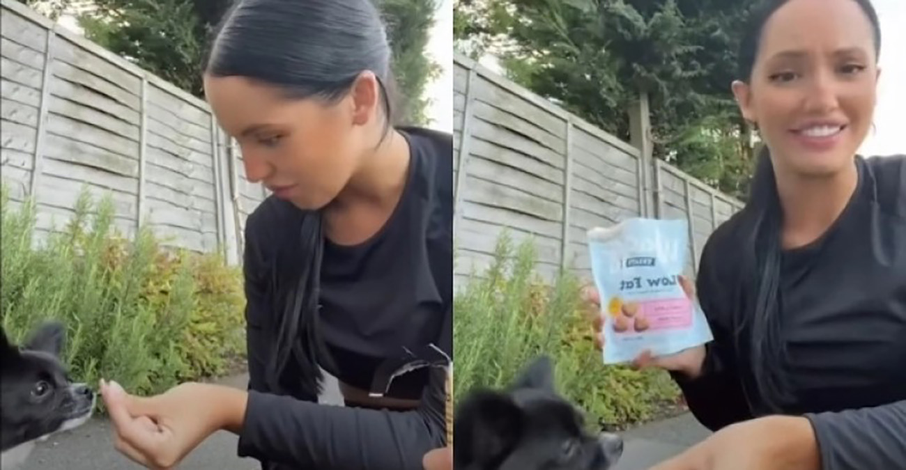 Γυναίκα στη Σκωτία δοκιμάζει σκυλοτροφή για να είναι σίγουρη πως το σκυλί της τρώει νόστιμες λιχουδιές -Δείτε βίντεο 
