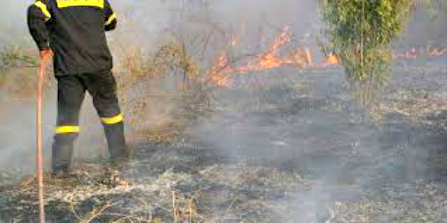 ΠΥΡΚΑΓΙΑ - ΕΠΙΣΚΟΠΗ: Μάχη με τις φλόγες δίνουν Πυροσβεστική Υπηρεσία, Τμήμα Δασών και δυνάμεις των Βρ. Βάσεων