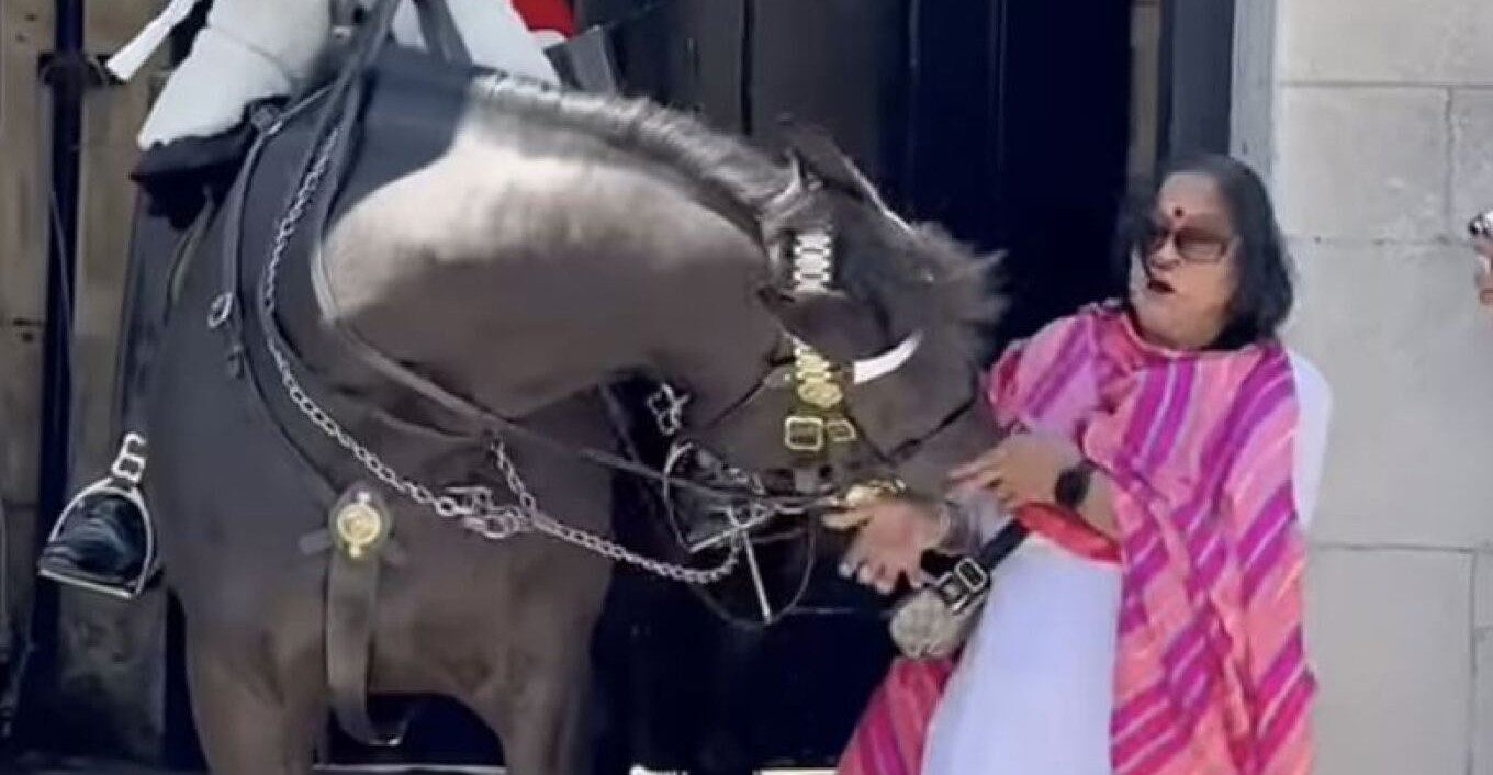 Άλογο της Βασιλικής Φρουράς στο παλάτι του Μπάκιγχαμ δάγκωσε τουρίστρια που το χάιδεψε - Δείτε βίντεο