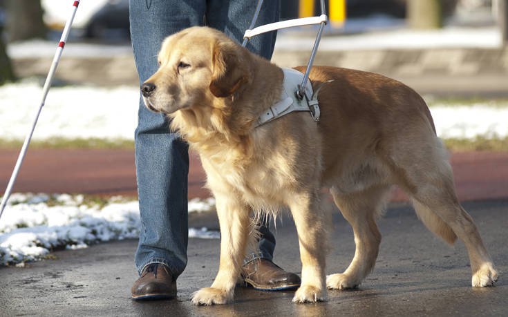 Καφετέρια αρνήθηκε να δώσει νερό σε σκύλο-οδηγό! Έδιωξαν κακήν-κακώς τυφλό άντρα