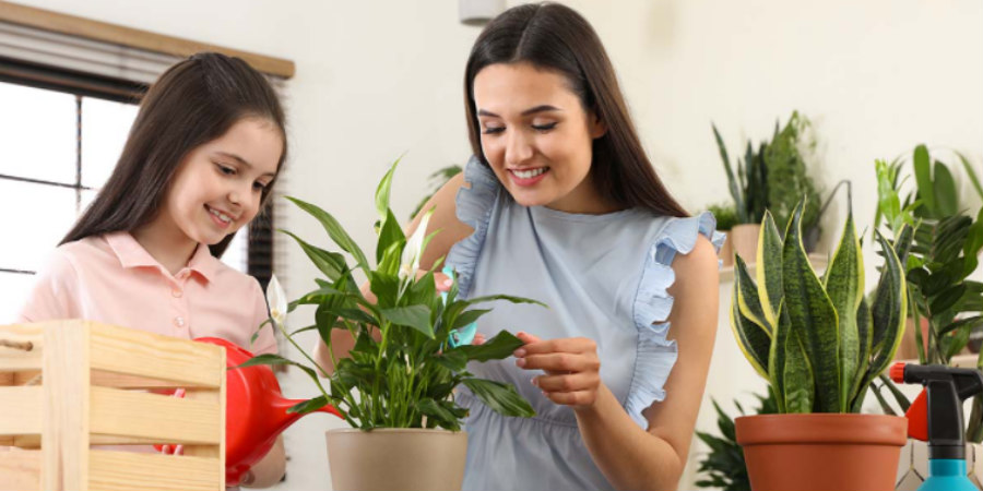 Τρία φυτά-βάλσαμο για τους πνεύμονες – Βάλτε τα στο σπίτι