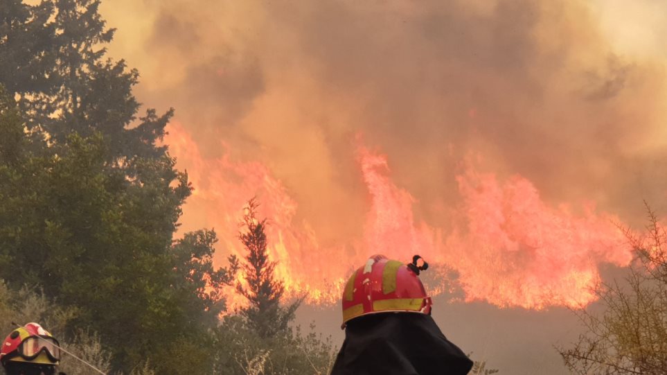 Υπό πλήρη έλεγχο πυρκαγιά στο Κρατικό Δάσος Πέγειας