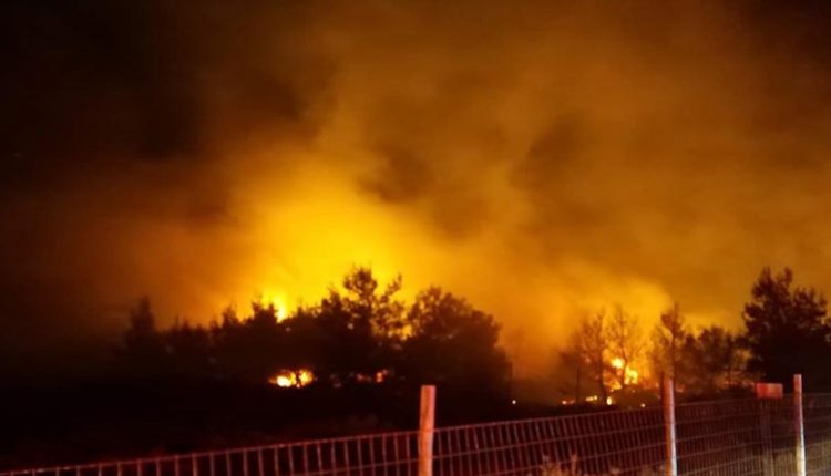 ΕΛΛΑΔΑ: Πυρκαγιά στην Νέα Μάκρη Αττικής - Είναι κοντά σε σπίτια 