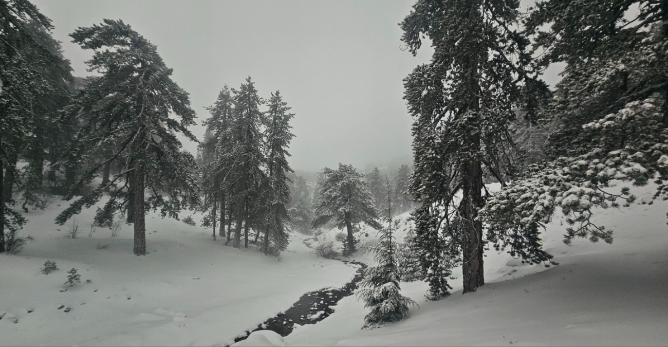 Στο «ψυγείο» η Κύπρος: «Βουτιά» της θερμοκρασίας, βροχές και χιόνια το Σαββατοκύριακο - Το ύψος του χιονιού στο Τρόοδος