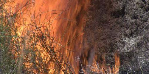 Υπό πλήρη έλεγχο πυρκαγιά σε περιοχή του Δήμου Λευκάρων - Κάηκε μικρή έκταση από άγρια βλάστηση 