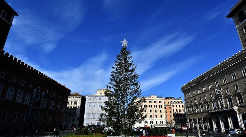 Ρώμη: Το χριστουγεννιάτικο δέντρο που θυμίζει πιγκάλ θα γίνει έκθεμα σε μουσείο!