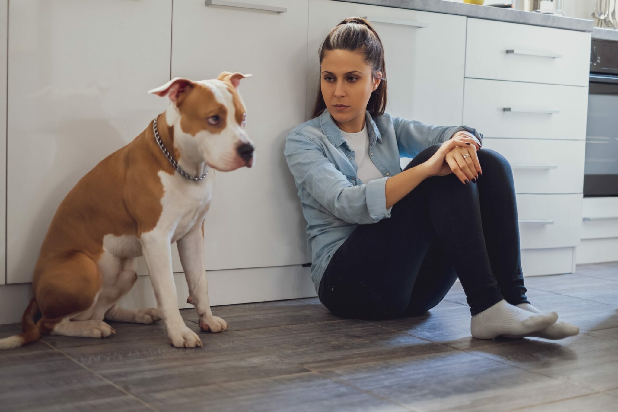 Μπήκατε σε σχέση και έχετε σκύλο; Δείτε πώς θα καταλάβετε εάν σας ζηλεύει και δεν θέλει τον νέο σας σύντροφο