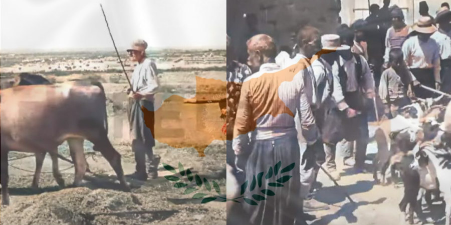 Σπάνιο βίντεο: Σκηνές από την Κύπρο του 1918 – Εικόνες από άλλη εποχή 