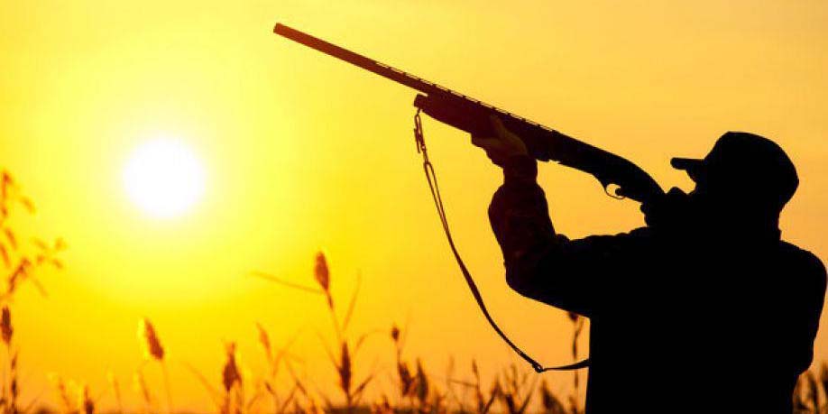 Καμπάνα χιλιάδων ευρώ σε κυνηγό - Μετέφερε πυροβόλο όπλο σε απαγορευμένη περιοχή 