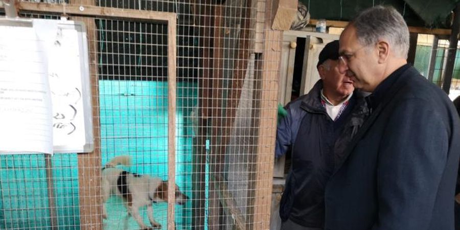 Καδής: «Το κράτος θα παραχωρήσει γη για δημιουργία καταφυγίου ζώων στο Παραλίμνι»