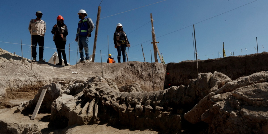 Βρετανία: Ανακαλύφθηκαν «σχεδόν άθικτα» μαμούθ ηλικίας 220.000 ετών