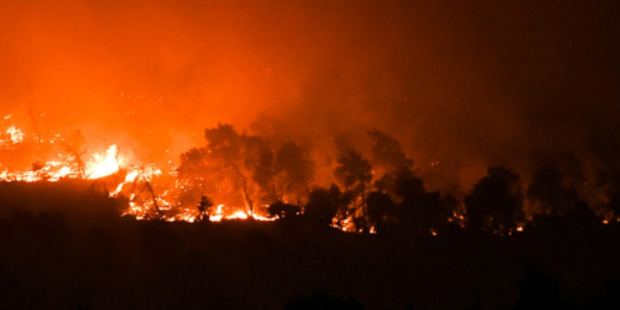 Φωτιά στη Φθιώτιδα - Τα πύρινα μέτωπα πολιορκούν το Λογγίτσι - Εκκενώθηκε το χωριό
