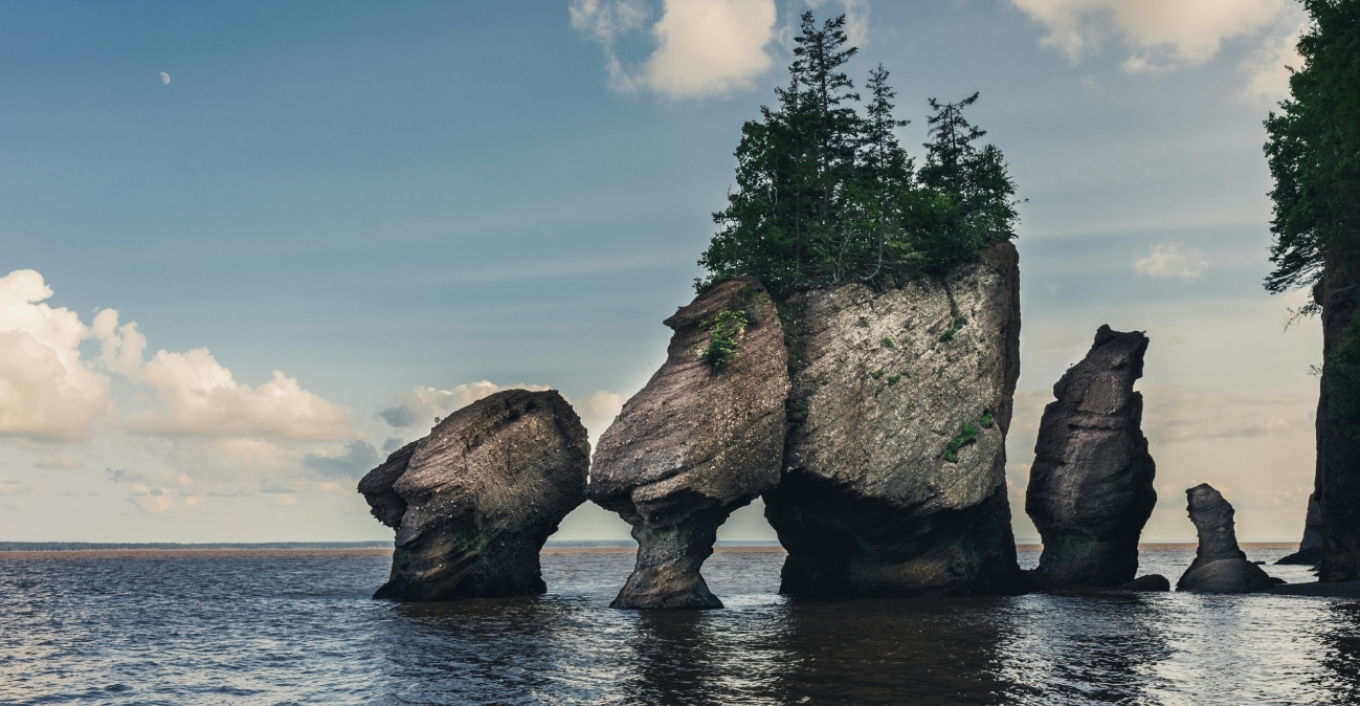 ΒΙΝΤΕΟ: Η περιοχή του κόσμου όπου οι μεγαλύτερες παλίρροιες στον κόσμο αποκαλύπτουν νησιά, φάλαινες και απολιθώματα 300 εκατ. ετών