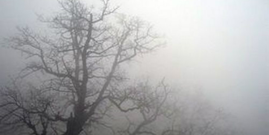 ΟΔΗΓΟΙ ΠΡΟΣΟΧΗ: Πυκνή ομίχλη στην περιοχή Τροόδους
