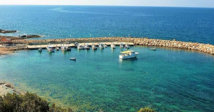 VIDEO: Ηλικιωμένος κυκλοφορούσε γυμνός σε παραλία και... φωτογραφιζόταν - Δείτε εικόνες