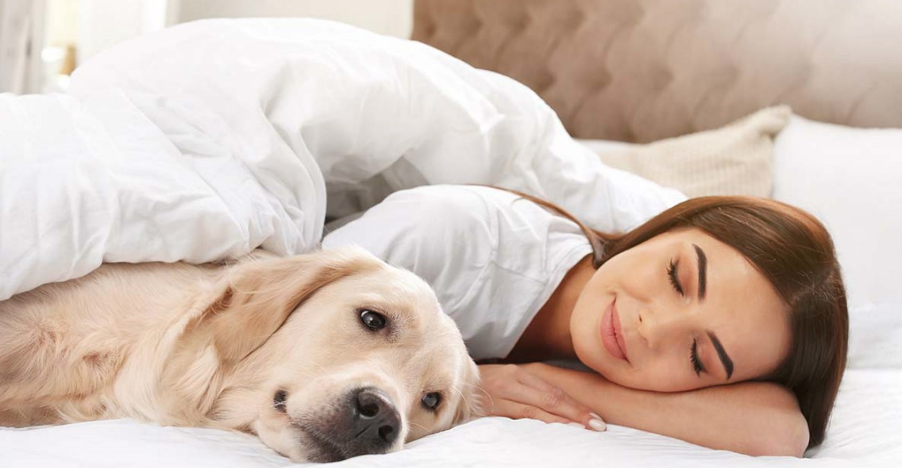 Πόσα κερδίζουν όσοι κοιμούνται αγκαλιά με τον σκύλο τους – Και πόσα χάνουν