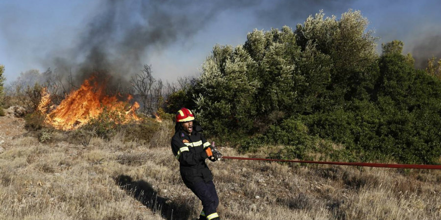 ΛΙΟΠΕΤΡΙ: Φωτιά σε χωράφι κινητοποίησε Πυροσβεστική και Αστυνομία - Τι κατέκαψε