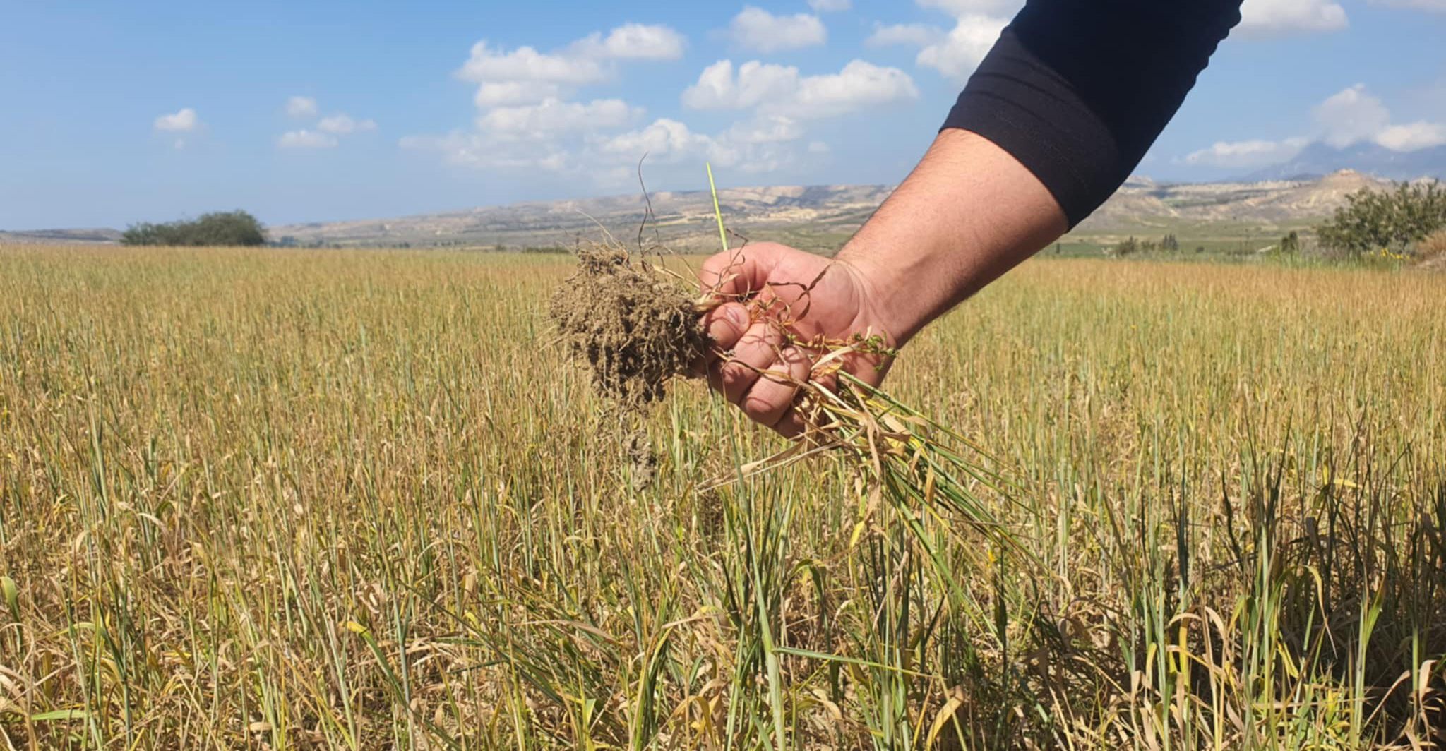 Νέα έκτακτη οικονομική στήριξη στους γεωργούς - Πότε αρχίζουν οι αιτήσεις