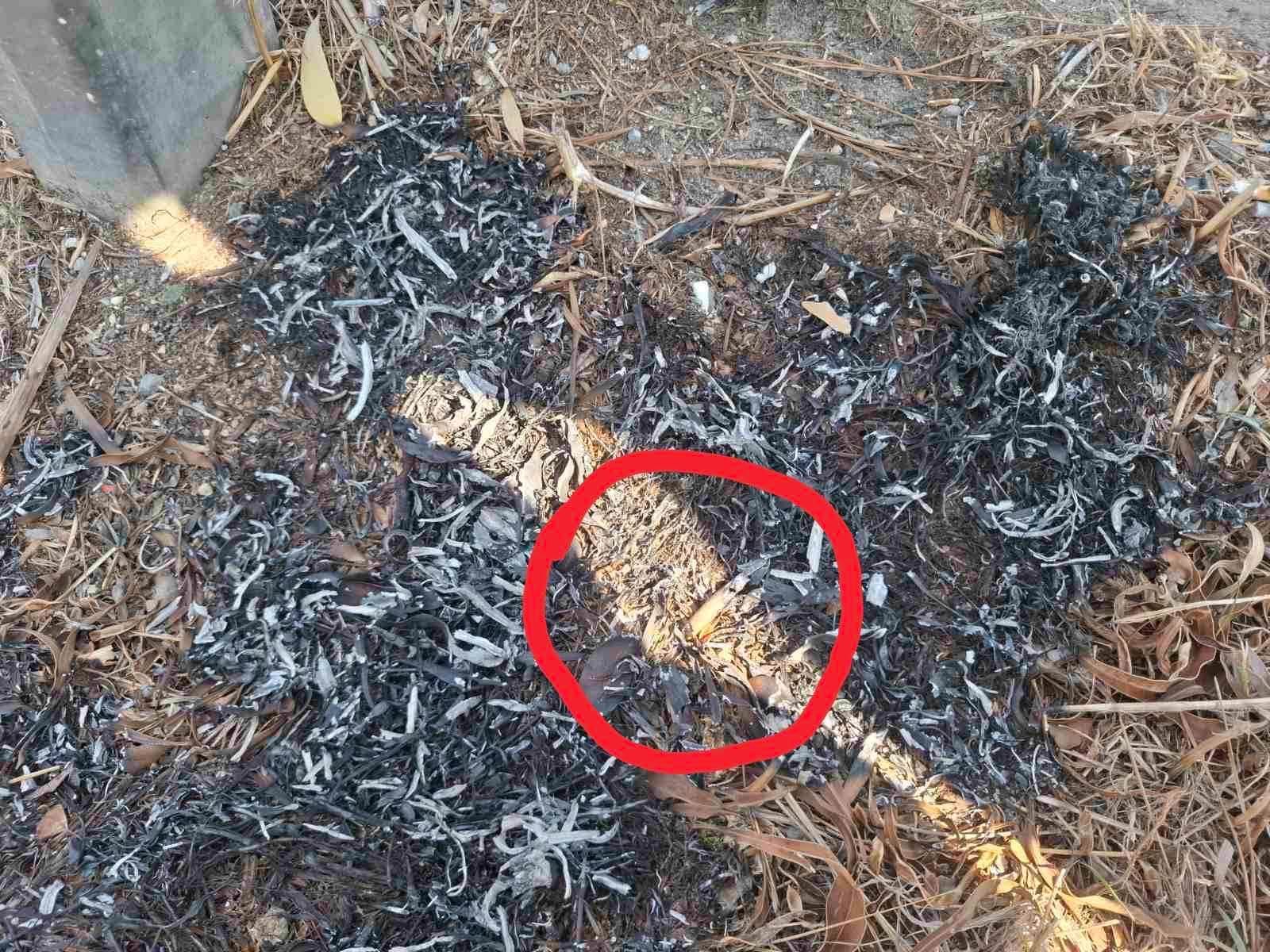 Πρόλαβαν τα χειρότερα: Υπό έλεγχο η πυρκαγιά στον αυτοκινητόδρομο που φαίνεται να ξεκίνησε από αποτσίγαρο