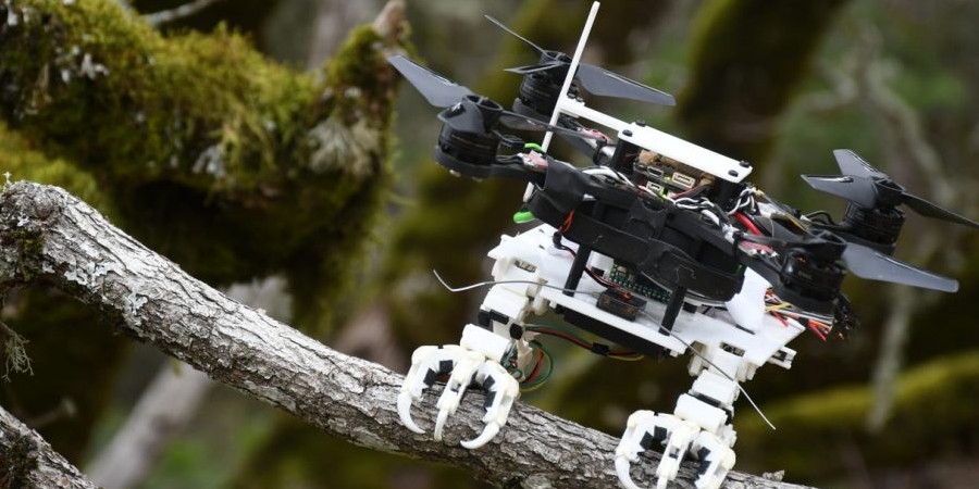 Το πρώτο drone-γεράκι που θα σώζει ανθρώπους