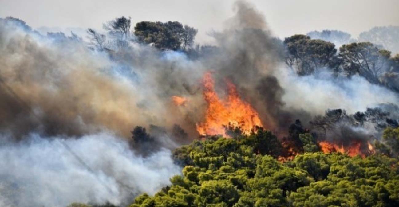 Στήθηκε Κέντρο Κρίσεως για την πυρκαγιά στο Κρατικό Δάσος Λεμεσού - Στο σημείο η Υπ. Γεωργίας -Δείτε βίντεο 