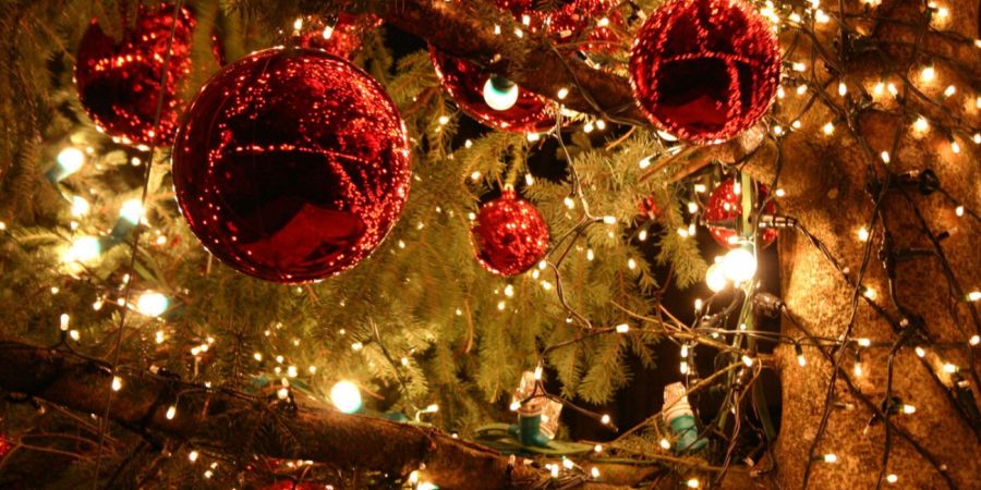 Η πιο «κυπριακή» χριστουγεννιάτικη διακόσμηση - ΦΩΤΟΓΡΑΦΙΑ