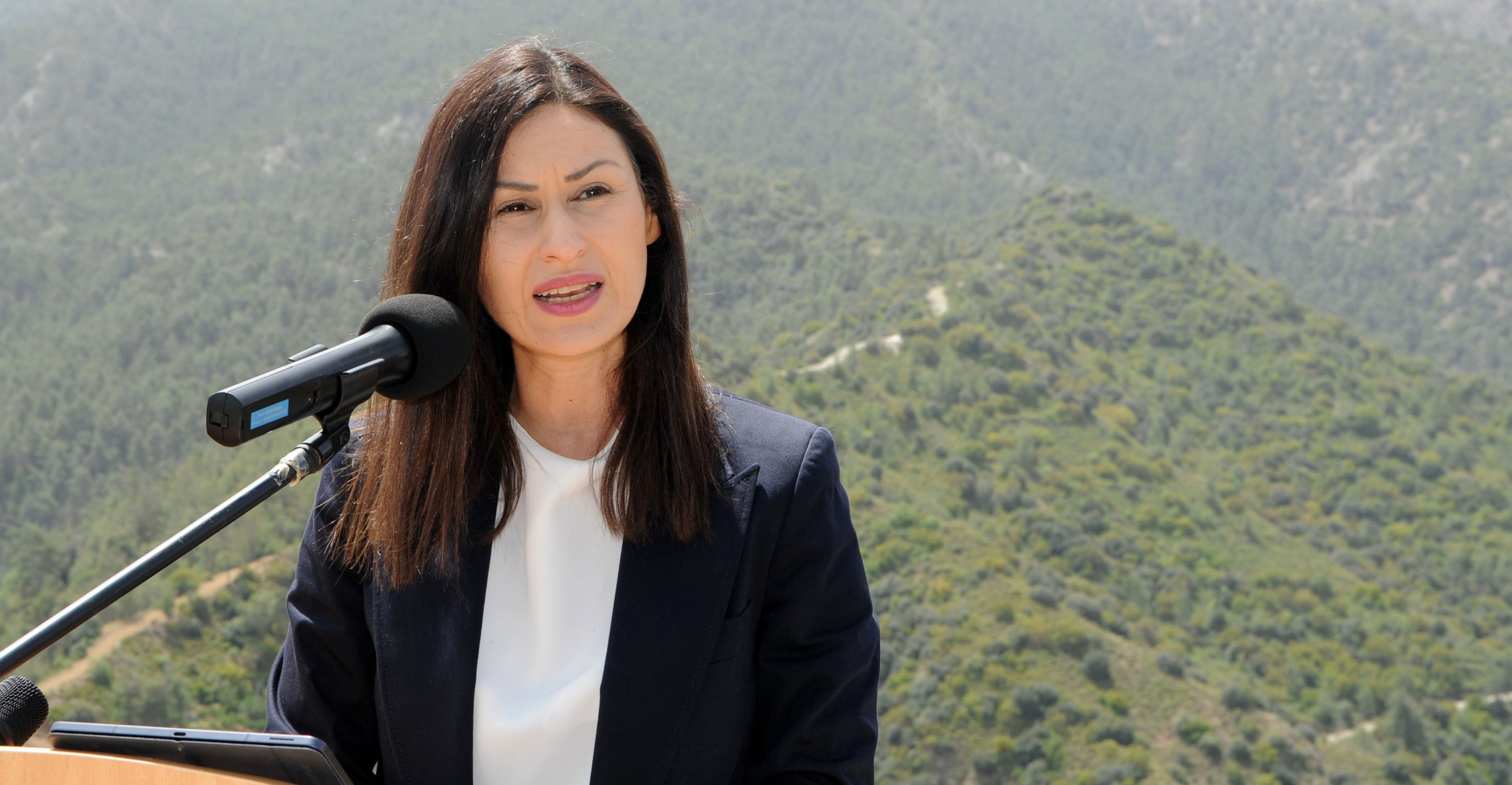Υπ. Γεωργίας στη Βουλή: «Δεν καταφέραμε να ανταποκριθούμε στην κρίσιμη στιγμή της πυρκαγιάς»