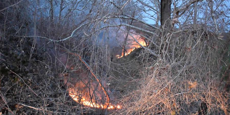 ΛΕΥΚΩΣΙΑ: Τέθηκε υπό έλεγχο πυρκαγιά στο Ποτάμι