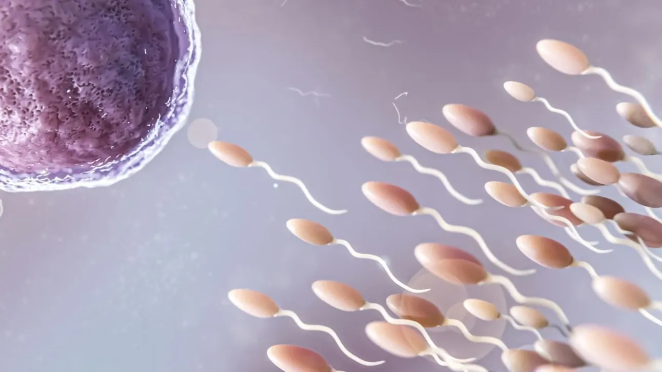 Νέα μελέτη: Η ποιότητα του ανθρώπινου σπέρματος κορυφώνεται το καλοκαίρι