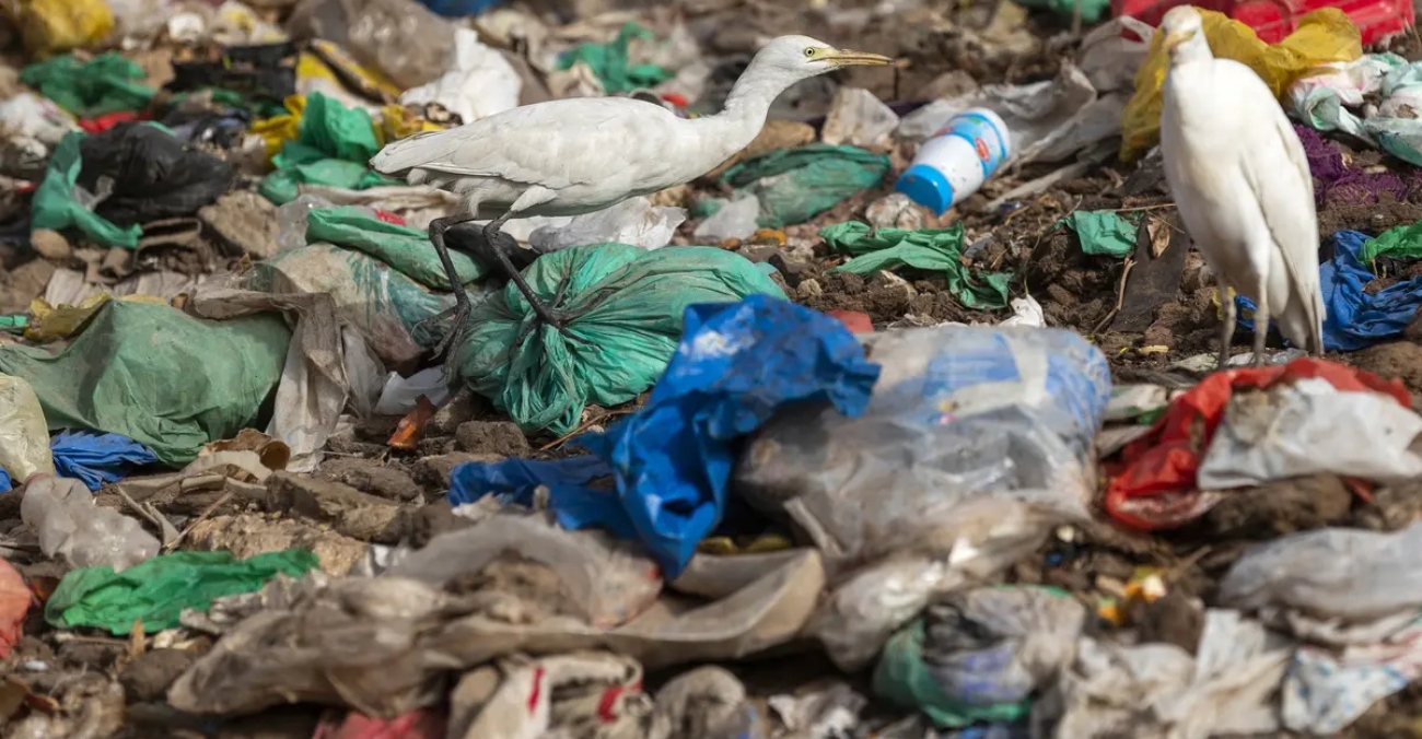 Γκουτέρες: Μείωση πλαστικής ρύπανσης κατά 80% έως το 2040 αν ενεργήσουμε τώρα